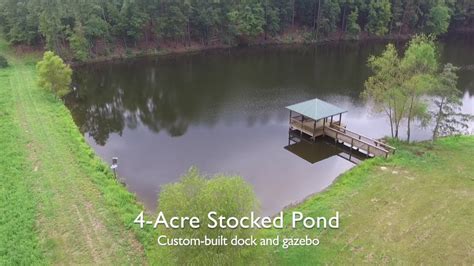 Superior South Carolina Hunting Land For Sale 1 Youtube