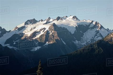 Mount Olympus Olympic National Park Washington Usa Stock Photo