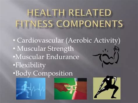 Ppt Health Related Fitness Components Powerpoint Presentation Free
