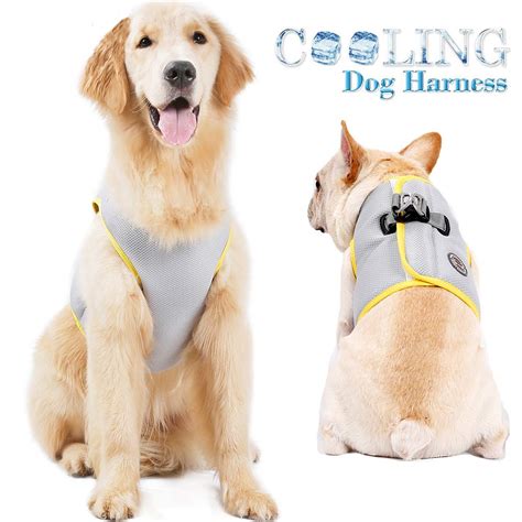 Best Dog Cooling Vests Home Gadgets