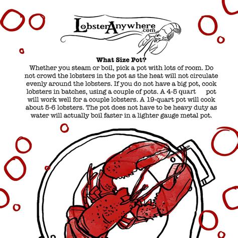 Perfect How To Cook Lobster Cooking Lobster