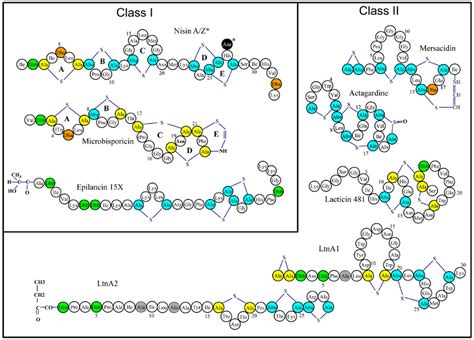 Representative Structures Of Various Single And Two Component