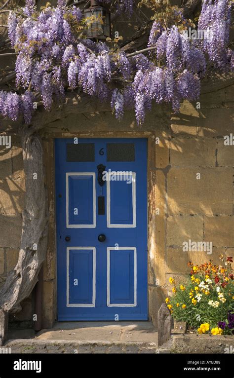 Wisteria Covered Cottage Broadway Cotswolds England Stock Photo Alamy