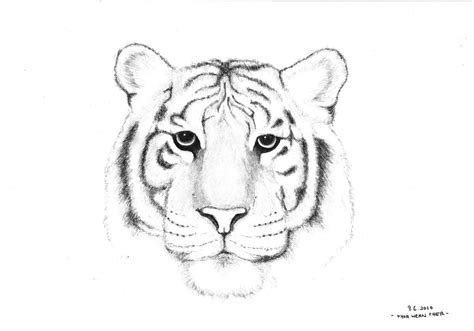 White Tiger By Bacafreak On Deviantart
