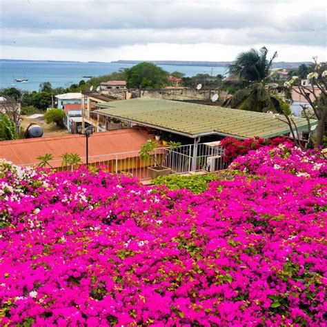Le Jardin Exotique Hotel | Diégo-Suarez