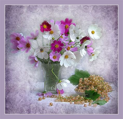 Still Life White Bouquet Graphy Flower Vase Beautiful Purple