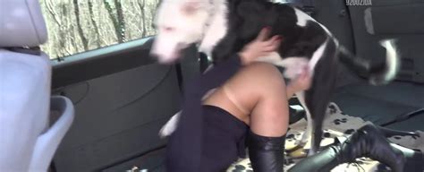 Dog Blowjob In Car Zoo Tube 1