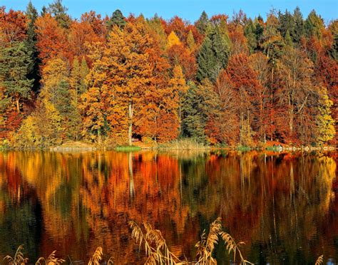 15 Best Places To See Fall Leaves In Knoxville And East Tennessee
