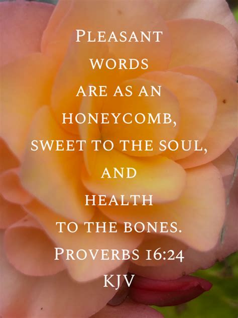 proverbs 16 24 pleasant words are as an honeycomb sweet to the soul and health to the bones