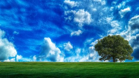 Sunset Clouds Landscapes Nature Trees Grass Fields Skyscapes