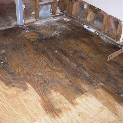 How To Fix Water Damage On Wood Floors Step By Step Guide