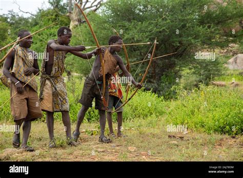 Hunters With Bows And Arrows Of The Hadzabe Indigenous Ethnic Group In