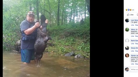 rabid beaver attacks man and daughter kayaking in pa miami herald