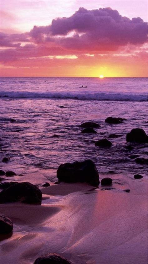Purple And Pink Beach At Sunset And Rocks And Waves Nature Pictures