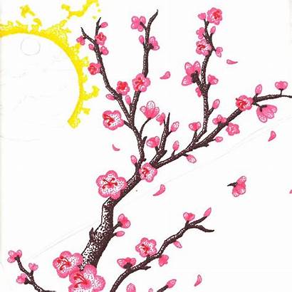 Cherry Blossom Branch Drawing Pencil Draw Clipartmag