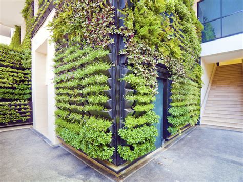 Living Walls And Vertical Gardens Gardening Andrew Weil Md