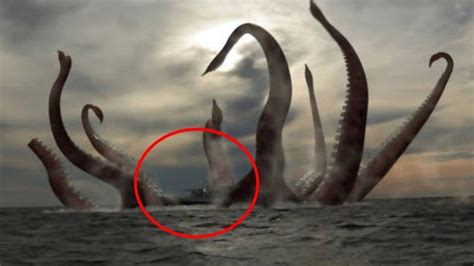 Real Kraken Caught On Camera And Spotted In Real Life Youtube