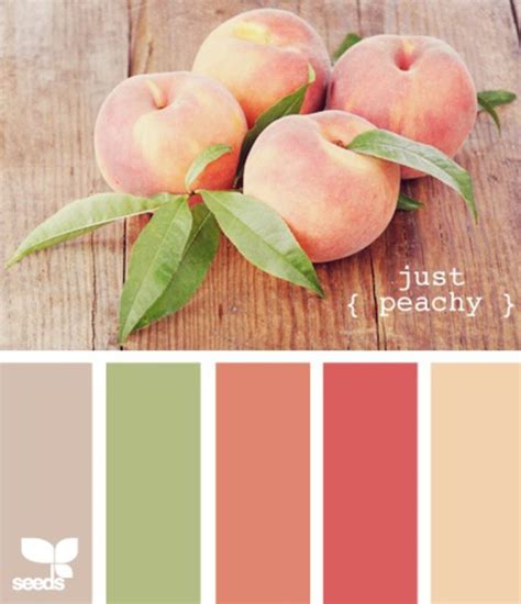 What Colors Match Peach The Meaning Of Color