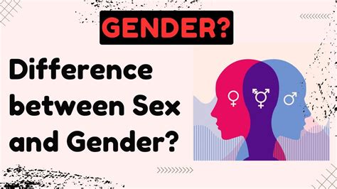 understanding gender difference between sex and gender in sociology youtube