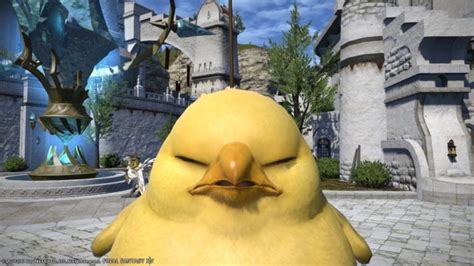 How To Get The Fat Chocobo Mount In Final Fantasy Xiv Online Pro Game