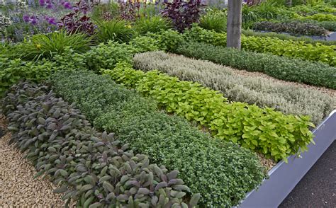 Practical Tips For Creating The Perfect Herb Garden