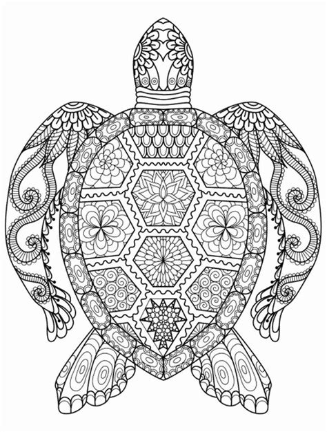 This resource is designed to go along with the tucker turtle book. Summer Coloring Pages for Adults in 2020 | Turtle coloring ...