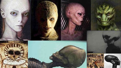 ¿qué Razas Extraterrestres Visitan La Tierra Codigo Oculto