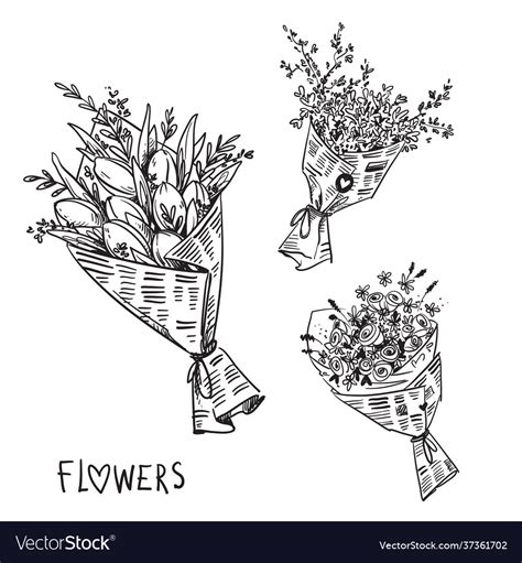 Black And White Line Drawing Flower Bouquets Vector Image