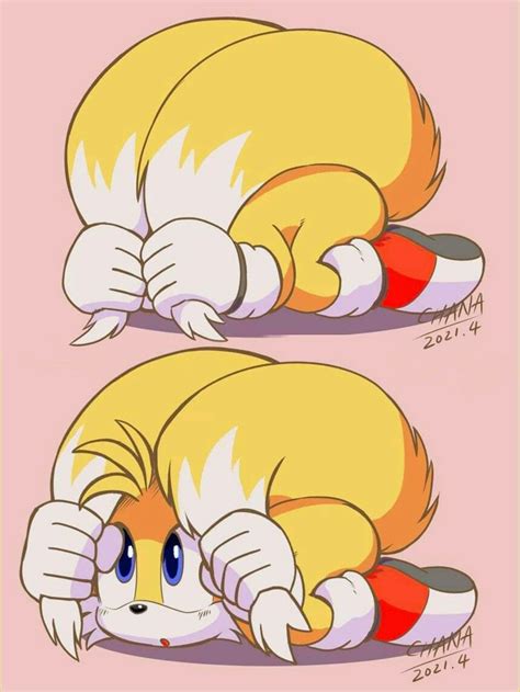 Tails Cute Hiding Between Their Tails In 2022 Hedgehog Art Sonic Fan Characters Sonic Fan Art