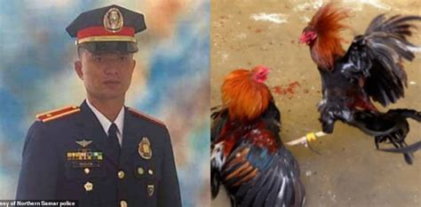 Rooster Kills Police Officer In Philippines Forum The Nation Newspaper Community