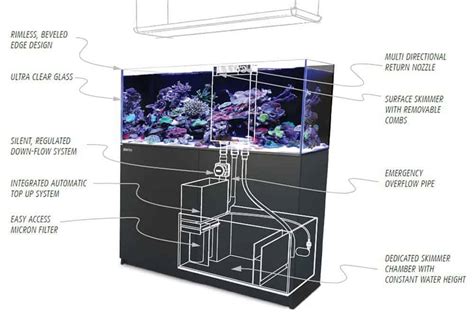 Aquarium Sumps This Is Everything You Need To Know The Beginners Reef
