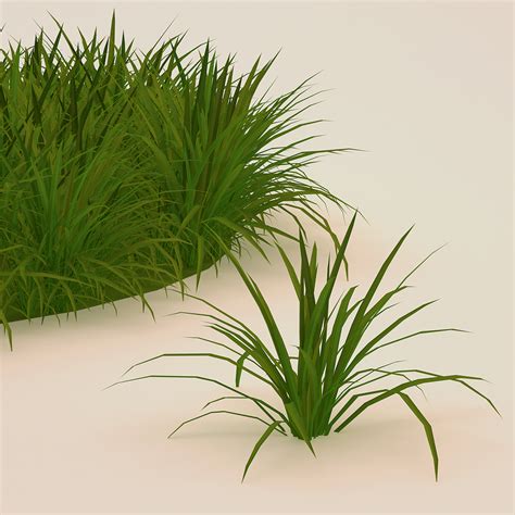 Free Grass 3d Model