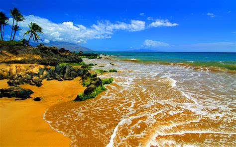 Maui Hawaii The Favorite Island For Hollywood Celebrities