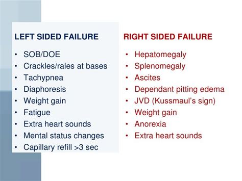 Left Vs Right Sided Heart Failure Faculty Of Medicine