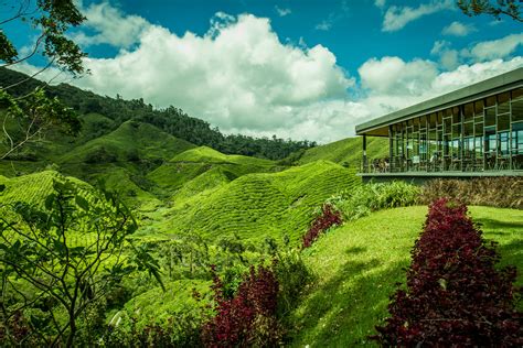 An ideal day trip from kuala lumpur, perfect for if you have a car, you can easily get around cameron highlands and visit even those accessible only via steep mountain roads, such as the boh tea plantation. Cameron Highlands / Malaysia