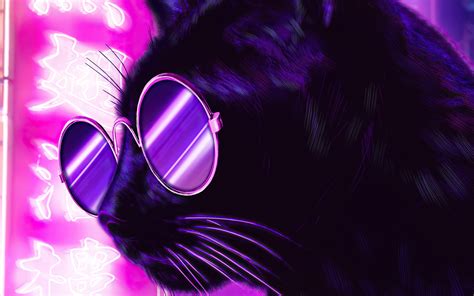 1680x1050 Cat Glasses Neon Purple Nights 4k Wallpaper1680x1050