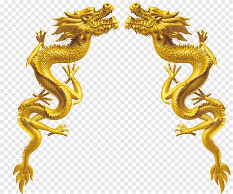 Chinese Dragon Golden Dragon Gold Dragon Illustration Golden Frame
