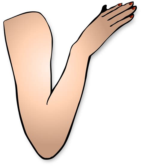 Hand Clipart Arm Hand Arm Transparent Free For Download On Webstockreview