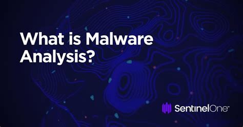 What Is Malware Analysis Sentinelone