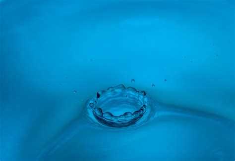 Free Images Wave Petal Wet Clear Flow Splash Blue Drip Circle