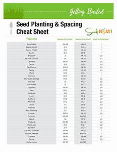 Printable Seed Germination Chart