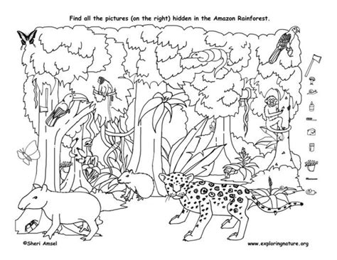 Hidden Object Animals Coloring Page