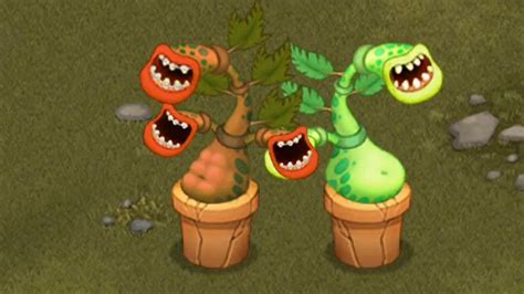 How To Breed Rare Potbelly Monster 100 Real In My Singing Monsters Shugabush Island Youtube