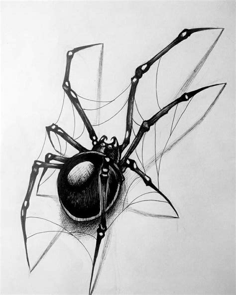 Pin By Yung Fnxty On Diseños Tattoo Black Widow Tattoo Black Widow