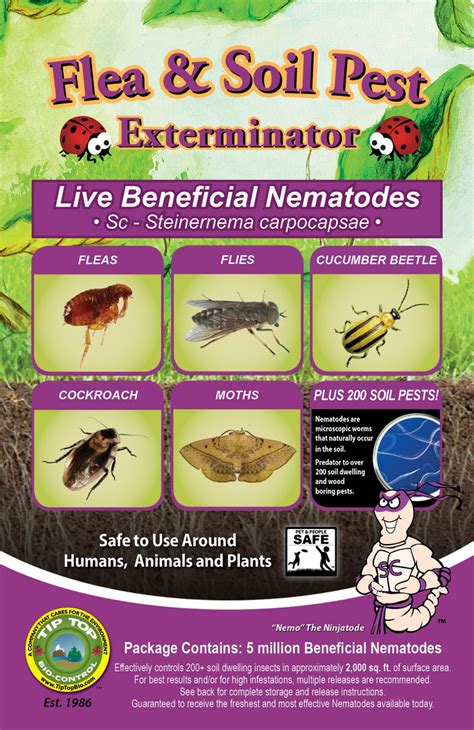 Flea And Soil Pest Exterminator Tip Top Bio Control Beneficial Insects