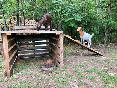 19 Portable Goat Shelter Ideas To Diy Or Buy For Small Farms With Big Ideas Goat Shelter