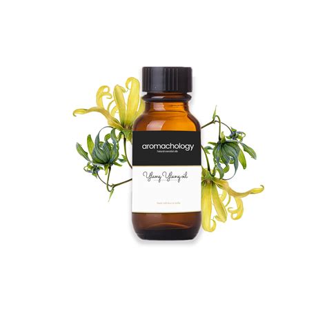 ylang ylang essential oil essential oil wholesaler