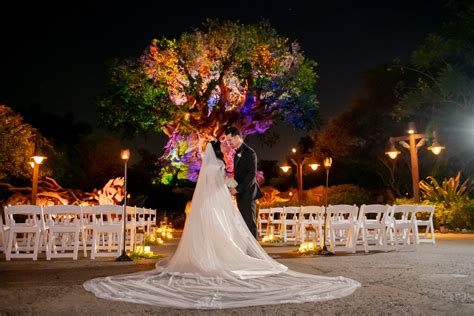 Lola And Bryans Tree Of Life Wedding Disney Wedding Podcast