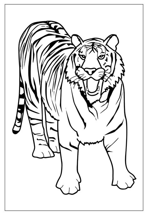 Total 112 Imagen Desenhos Para Colorir Do Tigre Br Thptnvk Edu Vn