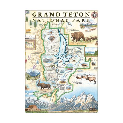 Magnets Grand Teton National Park Map Xplorer Maps